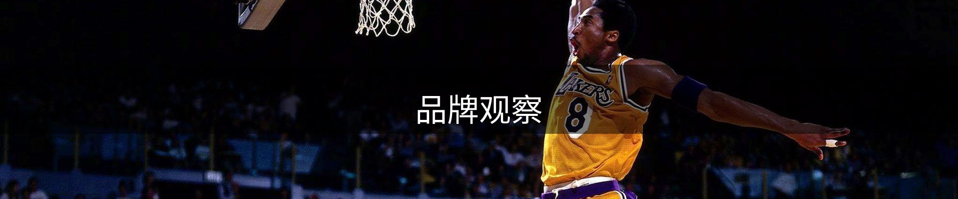 品牌观察
